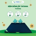 Đệm bông ép thẳng TATANA