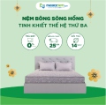 Nệm Bông Sông Hồng Tinh Khiết Thế Hệ Thứ Ba