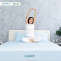 Nệm foam Edena Coolena