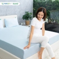 Nệm foam Edena Coolena