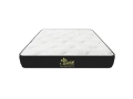 Nệm Lò Xo Túi Isabelle 7 Vùng – Memory Foam