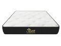 Nệm Lò Xo Túi Isabelle 7 Vùng – Memory Foam