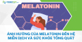 Ảnh hưởng của melatonin đến hệ miễn dịch và sức khỏe tổng quát