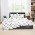 Ga cotton đũi TATANA (Nhiều mẫu)