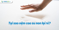 Tại sao nệm cao su non lại rẻ?