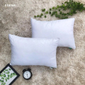 Gối nằm gòn Ball Edena