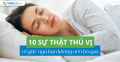 10 sự thật thú vị về giấc ngủ bạn không nên bỏ qua