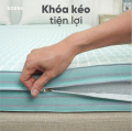 Nệm bông ép Edena chần gòn