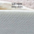 Nệm bông ép Everon Padding