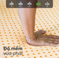 Nệm cao su thiên nhiên gấp Đồng Phú