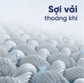 Nệm cao su thiên nhiên Liên Á Classic