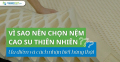 Vì sao nên chọn nệm cao su thiên nhiên? Ưu điểm và cách nhận biết hàng thật
