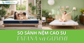 So sánh nệm cao su TATANA và Gummi - loại nào tốt hơn?