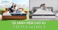 So sánh nệm cao su TATANA và Liên Á - loại nào tốt hơn?