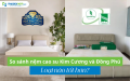 So sánh nệm cao su Kim Cương và Đồng Phú - loại nào tốt hơn?