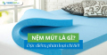 Nệm mút là gì? Đặc điểm, phân loại chi tiết