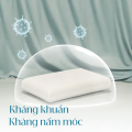 Gối cao su Oval Vạn Thành 38x62x11.8cm