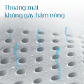 Gối cao su Oval Vạn Thành 38x62x11.8cm