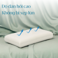 Gối cao su Oval Vạn Thành 38x62x11.8cm