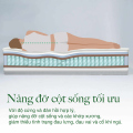 Nệm bông ép gấp 3 Eco Cool TATANA
