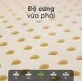 Nệm cao su thiên nhiên TATANA Cool Fresh