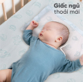 Gối cao su em bé Liên Á Oval