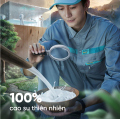 Gối cao su Kim Cương Ovany