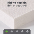 Nệm bông ép Vạn Thành vải Cotton
