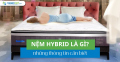 Nệm hybrid là gì? Những thông tin cần biết | Thế Giới Nệm