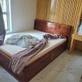 Phụng