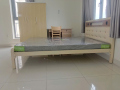 Phụng