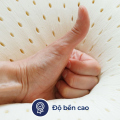 Gối cao su Liên Á Travelmate Lux