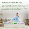 Đệm cao su thiên nhiên TATANA STANDARD