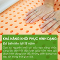 Đệm cao su thiên nhiên TATANA STANDARD