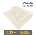 Đệm Cao Su Vạn Thành Standard
