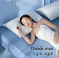 Gối Nằm TATANA Cao Cấp
