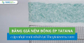 Bảng giá nệm bông ép TATANA mới nhất 2025