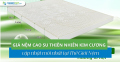 Giá nệm cao su thiên nhiên Kim Cương các dòng cập nhật mới nhất