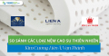 So sánh các loại nệm cao su thiên nhiên Kim Cương, Liên Á, Vạn Thành