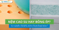 Nệm cao su hay bông ép? So sánh chi tiết, nên chọn loại nào