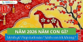 Năm 2026 là năm con gì? Mệnh gì? Hợp tuổi nào? Sinh con tốt không?