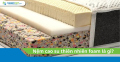 Nệm cao su thiên nhiên foam là gì?