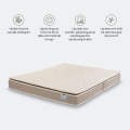 Nệm foam Artemis Nature Dream Support