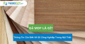 Gỗ MDF là gì? Thông tin cần biết về gỗ công nghiệp trong nội thất