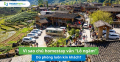 Vì sao homestay vẫn lỗ dù phòng luôn kín khách