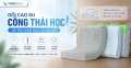 Gối cao su công thái học hỗ trợ giảm đau cổ vai gáy