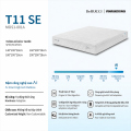 Nệm AI DeRUCCI T11 SE MOS1-001A