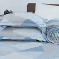 Ga TATANA Silver PL174