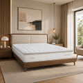 Đệm lò xo Dunlopillo CoolSilk ZEN Calm