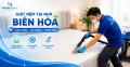 dịch vụ giặt nệm tại nhà ở Biên Hòa